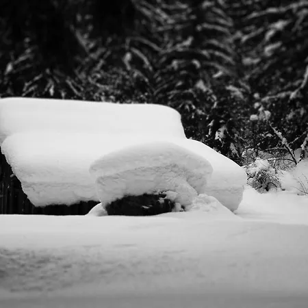 Appartement Maya, La Praz, Mont Blanc Chamonix