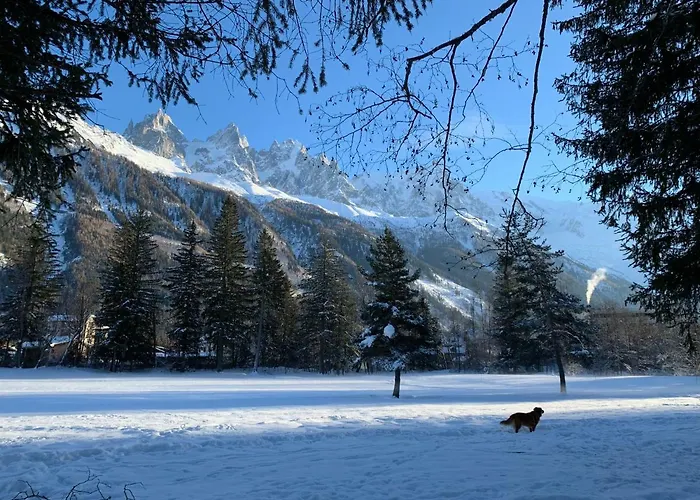Maya, La Praz, Mont Blanc Chamonix Mont Blanc