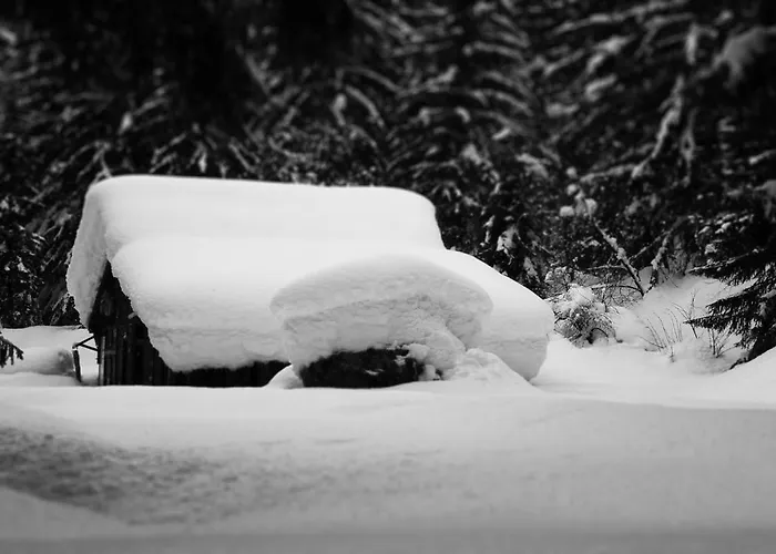 Apartman Maya, La Praz, Mont Blanc Chamonix